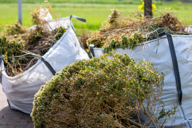Best Electronics Removal Services  in Kingstowne, VA